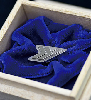 yyアライアンスバッヂ